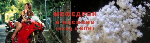 индика Богородск