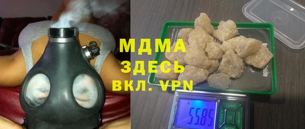 индика Богородск