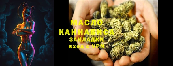 индика Богородск