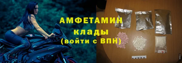 индика Богородск