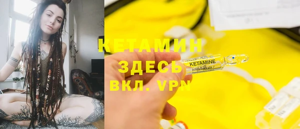 индика Богородск