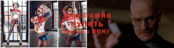 индика Богородск