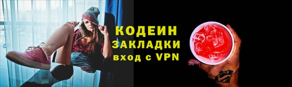 индика Богородск