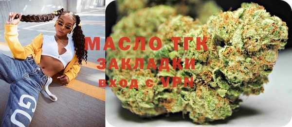 индика Богородск