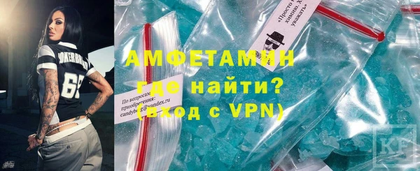 индика Богородск