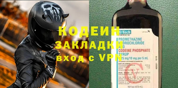 индика Богородск