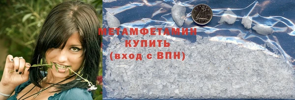 индика Богородск