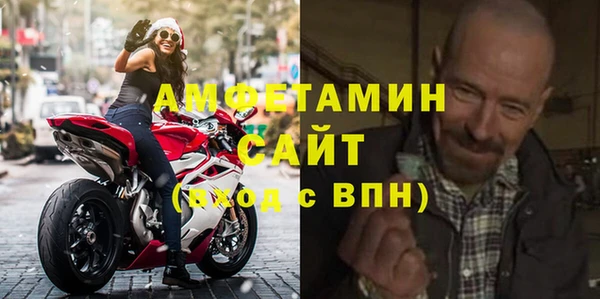 индика Богородск
