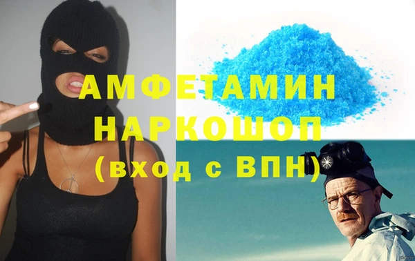 индика Богородск