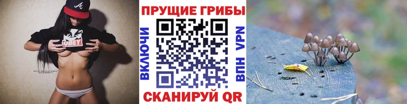 Галлюциногенные грибы MAGIC MUSHROOMS  MEGA онион  Калуга 